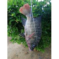 ราคา เหล็กอบปลาอบโอ่ง เหล็กอบปลานิลอบโอ่ง เหล็กอบปลาทับทิมอบโอ่ง ยาว35ซม บรรจุมัดละ 10อัน มัดละ160บ ทนทาน ใช้งานได้นาน (20389766655)