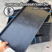 ราคา เซ็ท 5 ใบ ถาดเพาะต้นอ่อนทานตะวัน เนื้อหนา อย่างดี (4857602026)