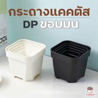 ราคา กระถางแคคตัส DP ขอบมน กระถางไม้อวบน้ำ กระถางพลาสติก กระถางสี่เหลี่ยม กระถางกระบองเพชร กระถางต้นไม้ (4528204608)