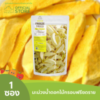 ราคา ตลาดไทย มะม่วงน้ำดอกไม้ฟรีซดราย Premium Freeze Dried Mango เกรดส่งออก กรอบ อร่อย ฟรีซดราย (11334685478)