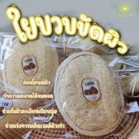 ราคา ใยบวบขัดตัว ใหญ่ ใยบวบธรรมชาติ Saibua ใยบวบขัดผิว สครับผิว ฟองน้ำขัดตัว ขัดผิว ขัดตัว ใยบวบแบบธรรมชาติ อุปกรณ์อาบน้ำ (17035524197)