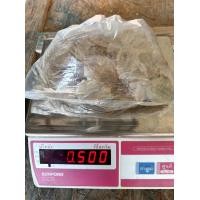 ราคา ปลาแป้นแก้ว ปลาหวาน เนื้อนิ่ม ปลาตัวใส ไร้กาง (20529921504)