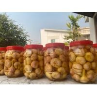 ราคา สินค้าขายดี กระเทียมดองธรรมชาติ กระเทียมดองไร้สารฟอกขาว รสชาติดั่งเดิม ขนาด 900 กรัม น้ำหนักเนื้อ500กรัม (9080269911)