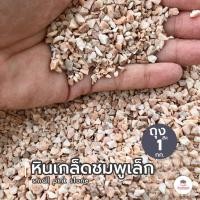ราคา ถุงละ 1 กก หินเกล็ดส้มเล็ก หินโรยหน้ากระถาง แคคตัส กระบองเพชร ไม้อวบน้ำ (4397386345)