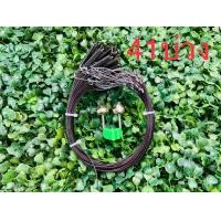 ราคา ครืนดักนกกวัก 41 บ่วง สีดำ แถมกระดิ่ง บ่วงแขวนดักนกกวัก ที่ดักนกไก่นา บ่วงหมุนได้ บ่วงกว้างประมาณ4นิ้ว (15683592000)