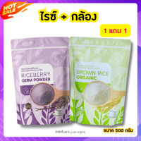 ราคา จมูกข้าวไรซ์เบอร์รี่ จมูกข้าว4สายพันธุ์ จมูกข้าวกล้อง จมูกข้าว riceberry จมูกข้าวคนท้อง ขนาด 500g ของแท้100 (20390357500)