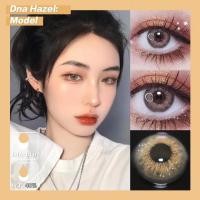 ราคา คอนแทคเลนส์ Lens DNA Taylor Grey Brown ขนาดมินิ Mini Size 14 0mm (19915721534)