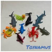ราคา toynamus โมเดลสัตว์ หลายชนิด ขนาดกะทัดรัด น่ารัก สัตว์ป่า สัตว์น้ำ สัตว์ฟาร์ม ไดโนเสาร์ ไก่ นก (19774535149)
