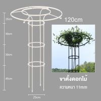 ราคา ซุ้มกุหลาบ ซุ้มกุหลาบเลื้อย โครงกุหลาบเลื้อย ซุ้มไม้เลื้อย เหล็กแข็งแรง ท่อเหล็กเคลือบ PE กันสนิม โครงเหล็กดัด (16431646637)