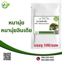 ราคา หมามุ่ยอินเดีย 100 แคปซูล บำรุงกำลังท่า่นชาย (16433670485)