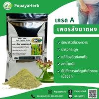 ราคา ผงเพชรสังฆาต 100 กรัม เกรดA แก้ริดสีดวงทวารหนักทั้งชนิดภายในและภายนอก Cissus Quadrangularis (16739171341)