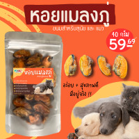 ราคา หอยแมลงภู่อบแห้ง สำหรับหมาแมว ขนาด 40 กรัม (20431840666)