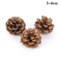 ราคา 5 10ชิ้นลูกสนธรรมชาติคริสต์มาสลูกสนธรรมชาติสำหรับเครื่องประดับต้นคริสมาสต์งานฝีมือของตกแต่งบ้านของขวัญ (20133913761)