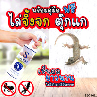 ราคา สเปรย์ไล่จิ้งจก ไล่ตุ๊กแก ฟรี คู่มือการใช้งาน ที่ไล่จิ้งจก ไล่จิ้งจกไม่ทำร้าย ยาไล่จิ้งจก ไล่จิ้งจกง่ายๆ สารสกัดธรรมชาติ (647316747)