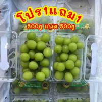 ราคา พร้อมส่ง องุ่นไซมัสคัท 1แถม1 สั่ง500gแถม500g สายพันธุ์ญี่ปุ่น Shine Muscat องุ่นไซมัสคัส องุ่นไซมัสแคท (20586387574)
