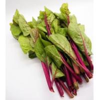 ราคา เมล็ดพันธุ์ ผักปลังม่วง ผักปลังแดง 30 400 เมล็ด ปลูกง่าย ทานอร่อย ซื้อ10 แถม 1 คละได้ (18645796203)