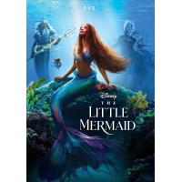 ราคา The Little Mermaid เงือกน้อยผจญภัย 2023 DVD หนังใหม่ มาสเตอร์ พากย์ไทย (20343647162)