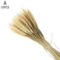 ราคา หูข้าวสาลีแห้งดอกไม้เก็บรักษาไว้แห้ง ช่อดอกไม้ห้องนั่งเล่นตกแต่งบ้าน Kering Bunga T0P0 (17112383985)