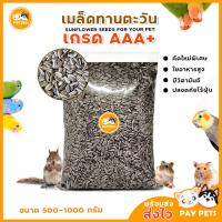 ราคา เมล็ดทานตะวันลายไทย 500 1000กรัม สำหรับ นกขนาดเล็ก กลาง ฟอพัส เลิฟเบิร์ด ค็อกคาเทล กระรอก หนูแฮมสเตอร์ และ สัตว์ฟันแทะอื่นๆ (20555381963)