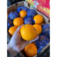 ราคา ส้ม ส้มซันคริส ส้มเวเลนเซีย Valencias South Africa ลูกใหญ่ 4 5 ลูก น้ำหนัก 1 กิโลกรัม (10865823883)