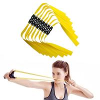 ราคา หนังสติ๊กยางรัดน้ำยางหนังสติ๊กแบนวงยืดหยุ่นยางรัด (16312440092)