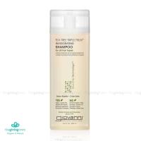 ราคา Giovanni Tea Tree แชมพู ครีมนวดผม ไม่ทำร้ายผมทำสี Eco Chic Tea Tree Triple Treat Invigorating 250 มล ผมทำสีใช้ได้ (12406869834)