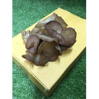 ราคา เห็ดหูหนูสด เห็ดหอมอร่อย ผักผลไม้ (15260844783)