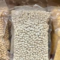 ราคา ถั่วขาว 500 กรัม White Kidney Been (17949697154)