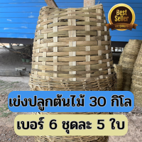 ราคา ชะลอมปลูกต้นไม้ เบอร์ 6 1ชุด 5ใบ ขนาด 30 กิโลกรัม เข่งปลูกต้นไม้ เข่งต้นไม้ ตะกร้าปลูกต้นไม้ ชะลอมต้นไม้ ตะกร้าผลไม้ กระถางต้นไม้ (13764312072)