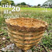 ราคา เข่ง20กิโล เข่งปลูกต้นไม้ เข่งไม้ไผ่ปลูกต้นไม้ ตะกร้าต้นไม้ เข่งสานไม้ไผ่ เข่งไม้ไผ่ เข่งสาน เข่ง ขนาด 40 29 19 ซม 1ใบ (14740143255)