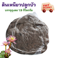 ราคา ดินบัว ดินปลูกบัว ดินเหนียว ดินปลูกไม้น้ำ น้ำหนักก้อนละประมาณ 1 9 กิโลกรัม ดินเลี้ยงหอยขม ดินปลูกดอกบัว ดินเหนียวปลูกบัว ดินบัว (19754110822)
