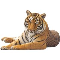 ราคา สติกเกอร์ติดผนังลายเสือ3d กันน้ำแบบลอกออกได้วอลเปเปอร์รูปลอกสำหรับตกแต่งเนอสเซอรี่ห้องนั่งเล่นห้องนอน (14413989107)