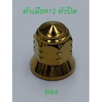 ราคา น๊อต สแตนเลส หัวปิด ฝาสูบจี้ลาย เบอร์ 12 เช่น W125 MSX MIO FINO Nouvo SPARK SPARK135 (18995787744)