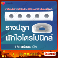 ราคา รางปลูกผักไฮโดรโปนิกส์แบบน้ำนิ่ง ยาว 1 เมตร 5 ช่องปลูก by hydroponicgroup (14688247728)