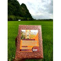 ราคา ข้าวกล้องสังข์หยด พัทลุง ข้างใหม่ๆจากพัทลุง100 ปลอดสาร100 ข้าวใหม่2566 (382048371)