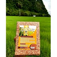 ราคา ข้าวสังข์หยด ขัดสีเล็กน้อย สีลายข่า 2 กก ข้าวใหม่ๆจากพัทลุง100 ปลอดสาร100 เป็นถุงซีนอากาศ1กิโลกรัมต่อถุง ข้าวใหม่2566 (733872276)