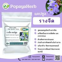 ราคา รางจืดผง 100 แคปซูล รางจืดสมุนไพร100 (18207738461)