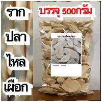 ราคา รากปลาไหลเผือก รากปลาไหลเผือกแห้ง สมุนไพรรากปลาไหลเผือก สมุนไพรรากปลาไหลเผือกแห้ง (20616509969)