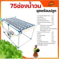 ราคา พร้อมส่ง ชุดปลูกผักไฮโดรโปนิกส์ รุ่น75ช่องน้ำวน (20103692570)