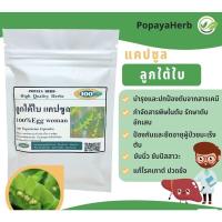 ราคา สมุนไพรบำรุงตับ ลูกใต้ใบ สมุนไพร100 (18854308233)