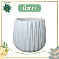 ราคา กระถางเพชร 7นิ้ว ถาดรองในตัว มีจุกระบายน้ำ กระถางมินิมอล แต่งบ้าน แต่งคอนโด แต่งห้อง (19299514503)