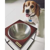 ราคา Barketek ชามอาหารสุนัข ชามอาหารแมว ยกสูง รุ่น MOD Series ขนาด S M L (17447796731)