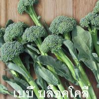 ราคา เบบี้ บล็อคโคลี่ ถูกที่สุด25บ เมล็ดพันธุ์เบบี้ บล็อคโคลี่ 10 100 เมล็ด ปลูกง่าย ดอกดก ทานอร่อย (13637777304)