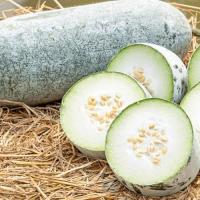 ราคา ฟักแฟงยักษ์ ถูกที่สุด10บ เมล็ดพันธุ์ฟักแฟงยักษ์10 50 เมล็ด ปลูกง่าย ลูกใหญ่ยักษ์ (12241713542)