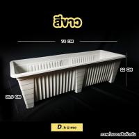 ราคา กระถางพลาสติกรางใหญ่จั้มโบ้ขนาดใหญ่ (13685987005)