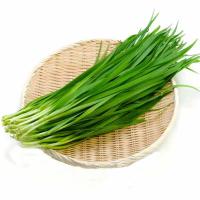 ราคา กุยช่าย ถูกที่สุ10บ เมล็ดพันธุ์กุยช่าย 40 เมล็ด ปลูกง่ายขึ้นไว ใบดก (13154401990)