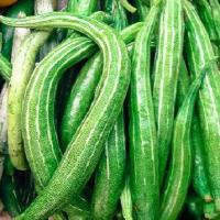 ราคา บวบงู ถูกที่สุด10บ บวบงู2 เมล็ด งอกง่าย ปลูกครั้งเดียวอยู่ได้เกิน 5 ปี ลูกดกมาก (12695313017)