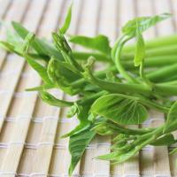 ราคา ผักบุ้งแก้ว ถูกที่สุด 10 บ เมล็ดพันธุ์ผักบุ้งแก้ว100 เมล็ด ปลูกง่าย โตไว ทานอร่อย (13087463499)