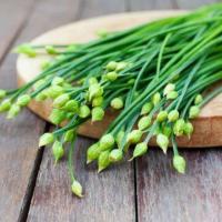 ราคา กุยช่ายดอก ถูกที่สุด10บ เมล็ดพันธุ์กุยช่ายดอก40 400เมล็ด งอกง่าย โตไว ทานอร่อย (17322770537)