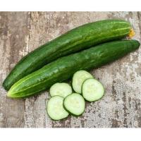 ราคา แตงกวาญี่ปุ่น ถูกที่สุด 10บ เมล็ดพันธุ์แตงกวาญี่ปุ่น10 เมล็ด ปลูกง่าย ผลดก รสชาติดี (12972429036)